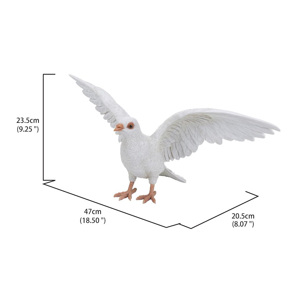 White Pigeon Spreads Wings