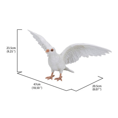 White Pigeon Spreads Wings