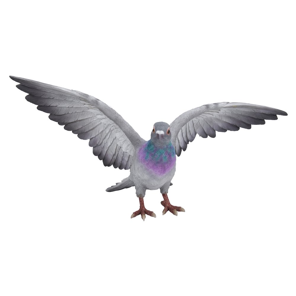 Grey Pigeon with Coloured Neck Statue