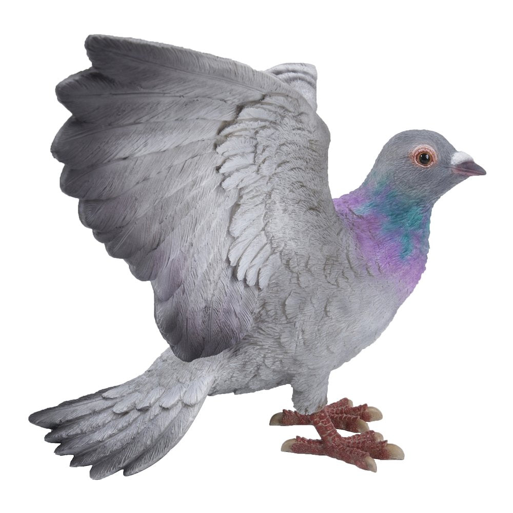 Grey Pigeon with Coloured Neck Statue