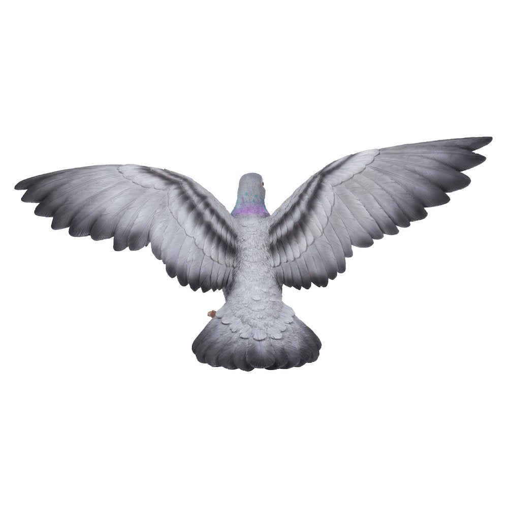 Grey Pigeon with Coloured Neck Statue