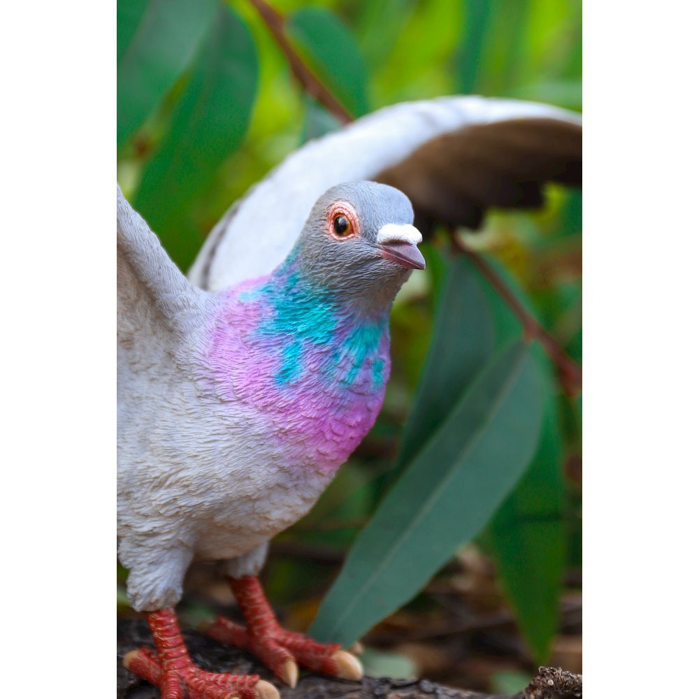 Grey Pigeon with Coloured Neck Statue