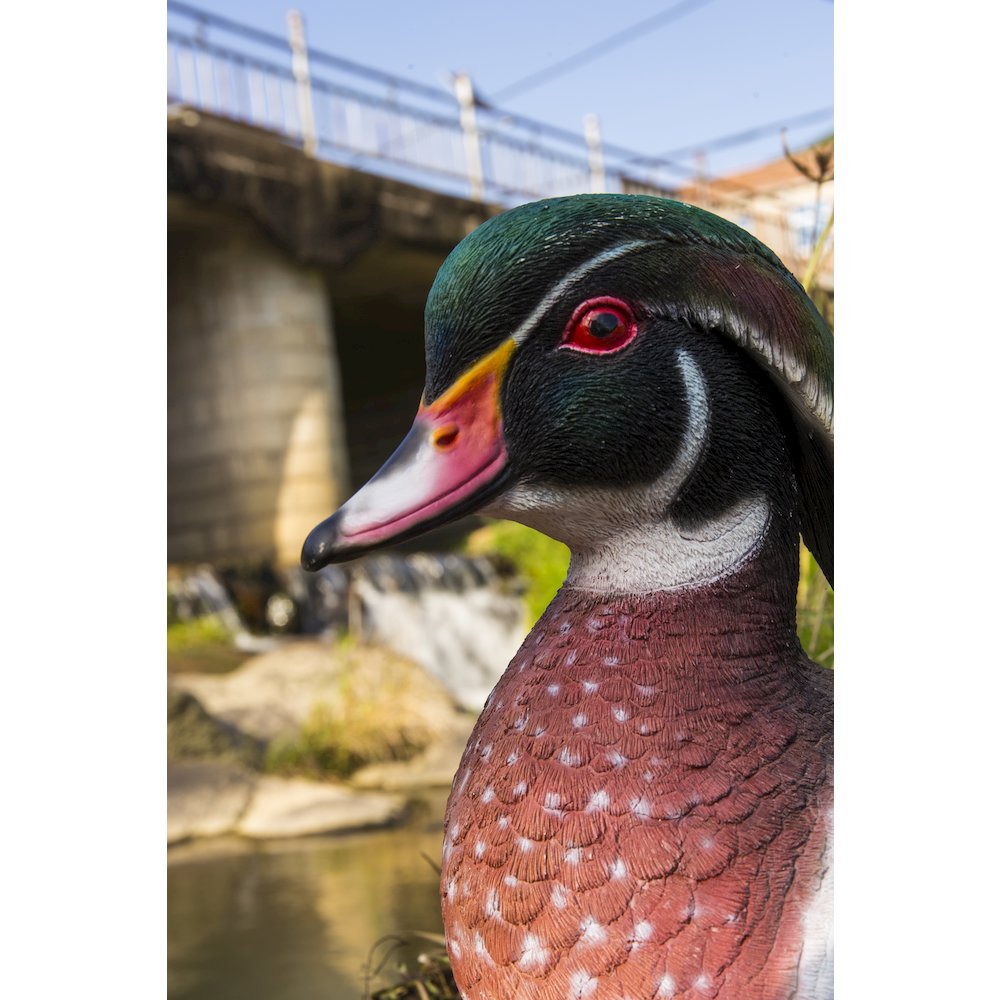 Colorful Sitting Wood Duck Garden Statue