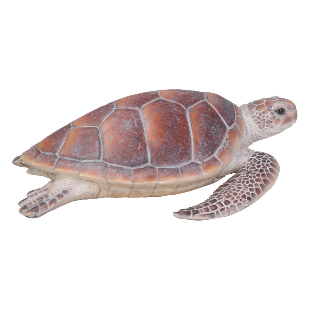 Large Sea Turtle