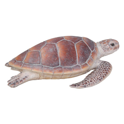 Large Sea Turtle