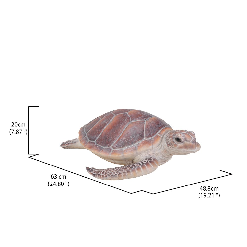 Large Sea Turtle