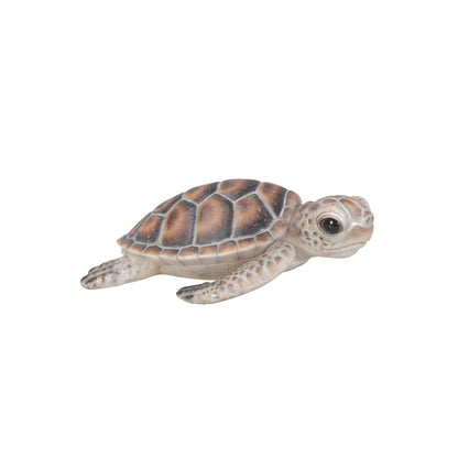 Small Sea Turtle