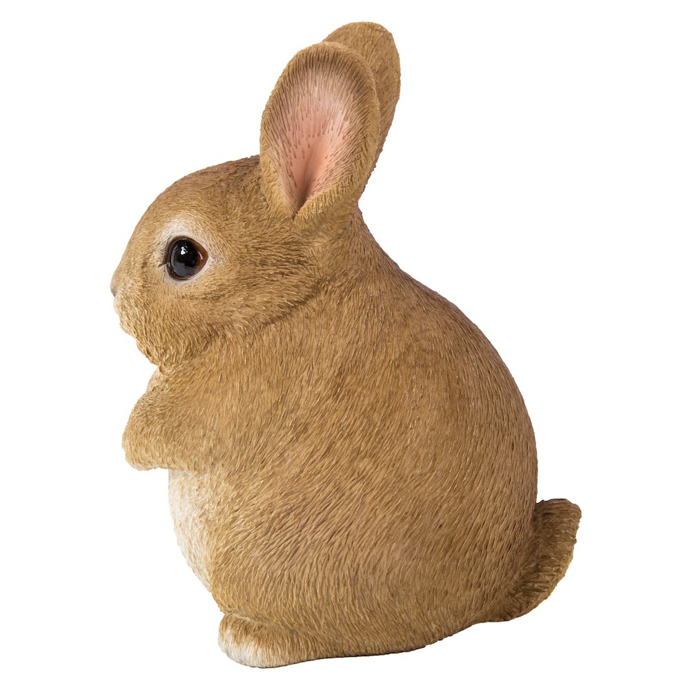 Chubby Rabbit Standing