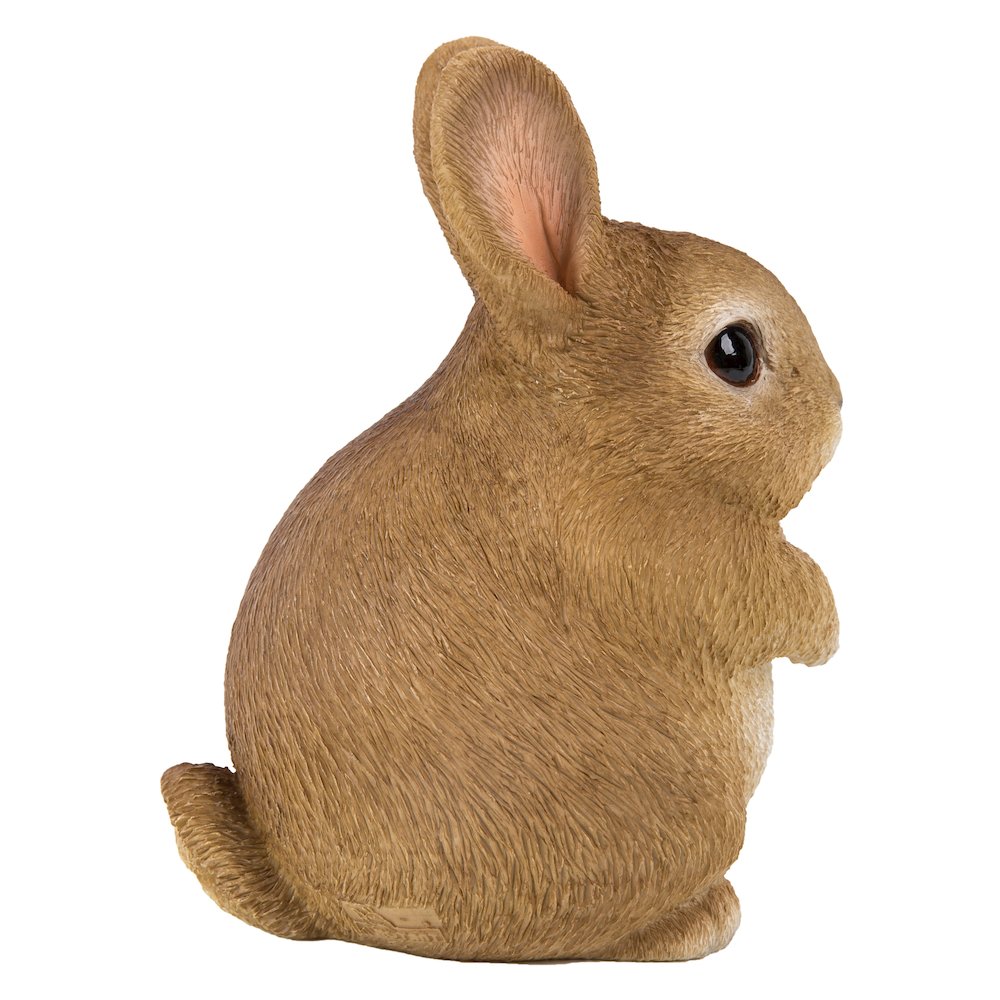 Chubby Rabbit Standing
