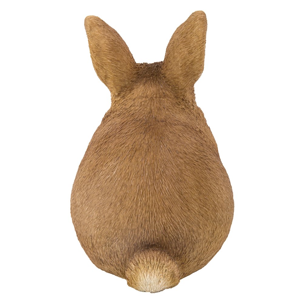 Chubby Rabbit Standing