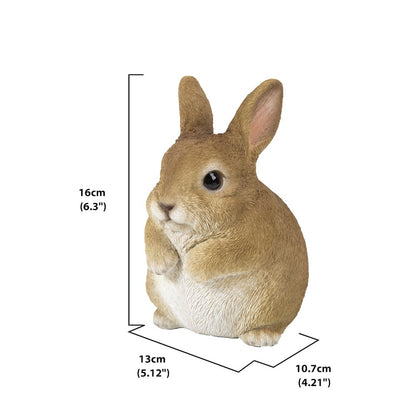 Chubby Rabbit Standing
