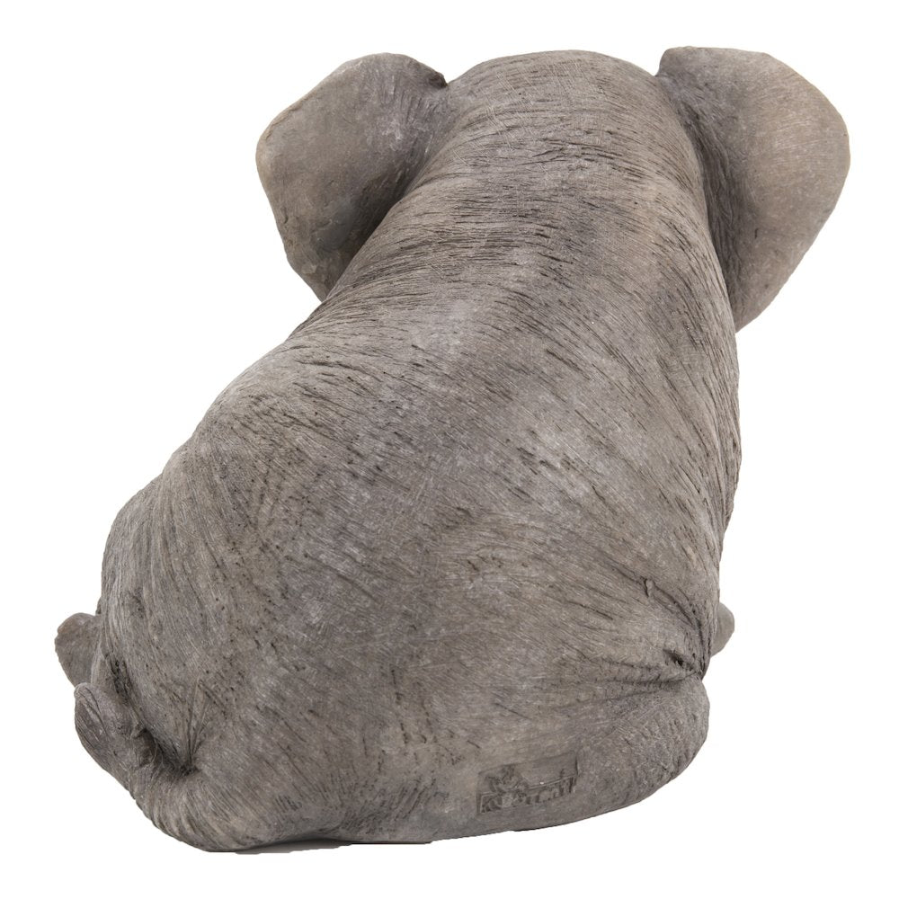 Chubby Elephant Sitting