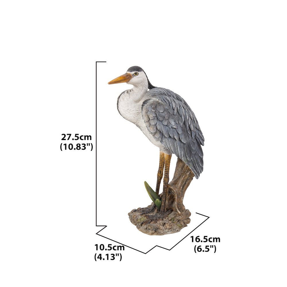 Heron Standing
