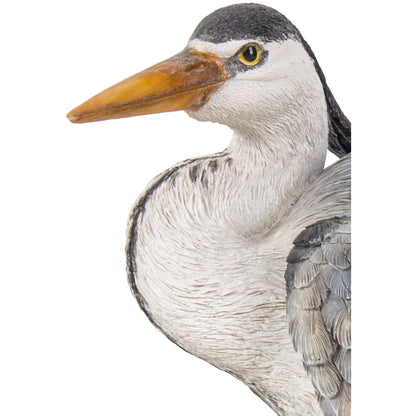 Heron Standing