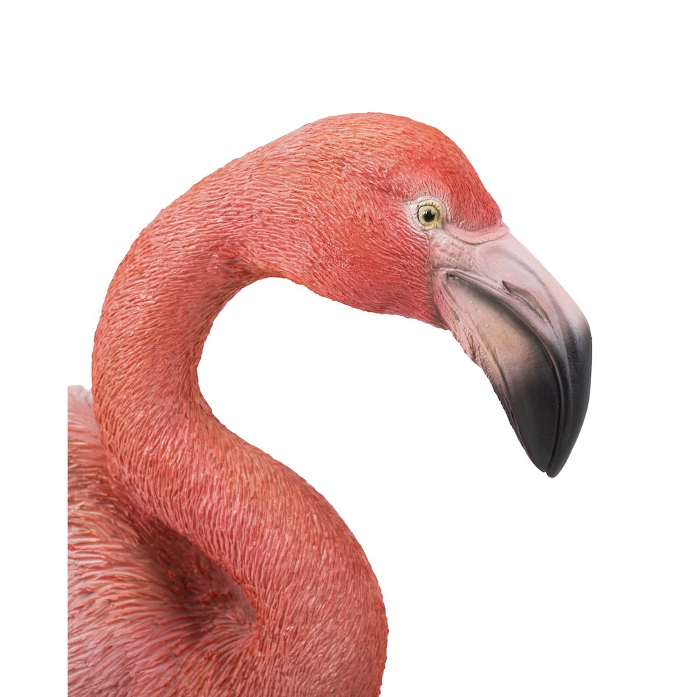 Flamingo Standing