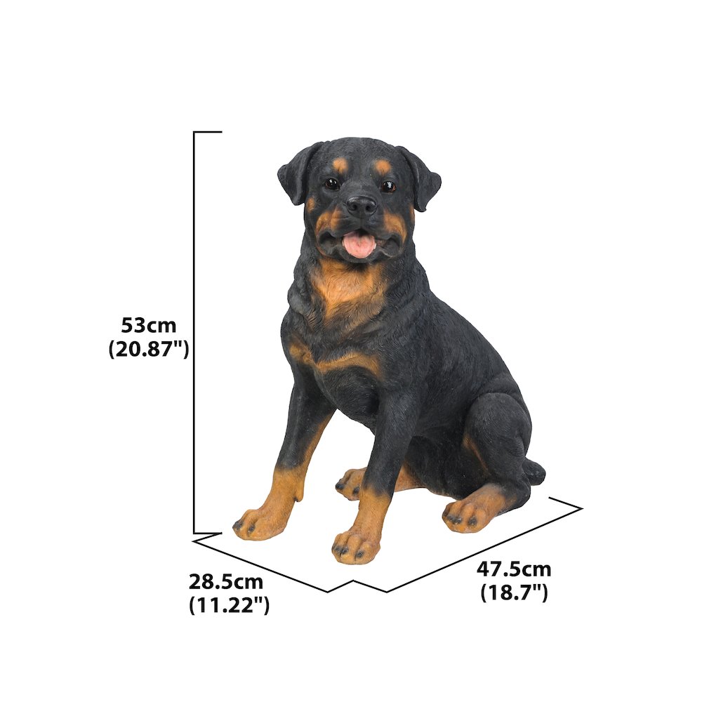 Rottweiler Sitting