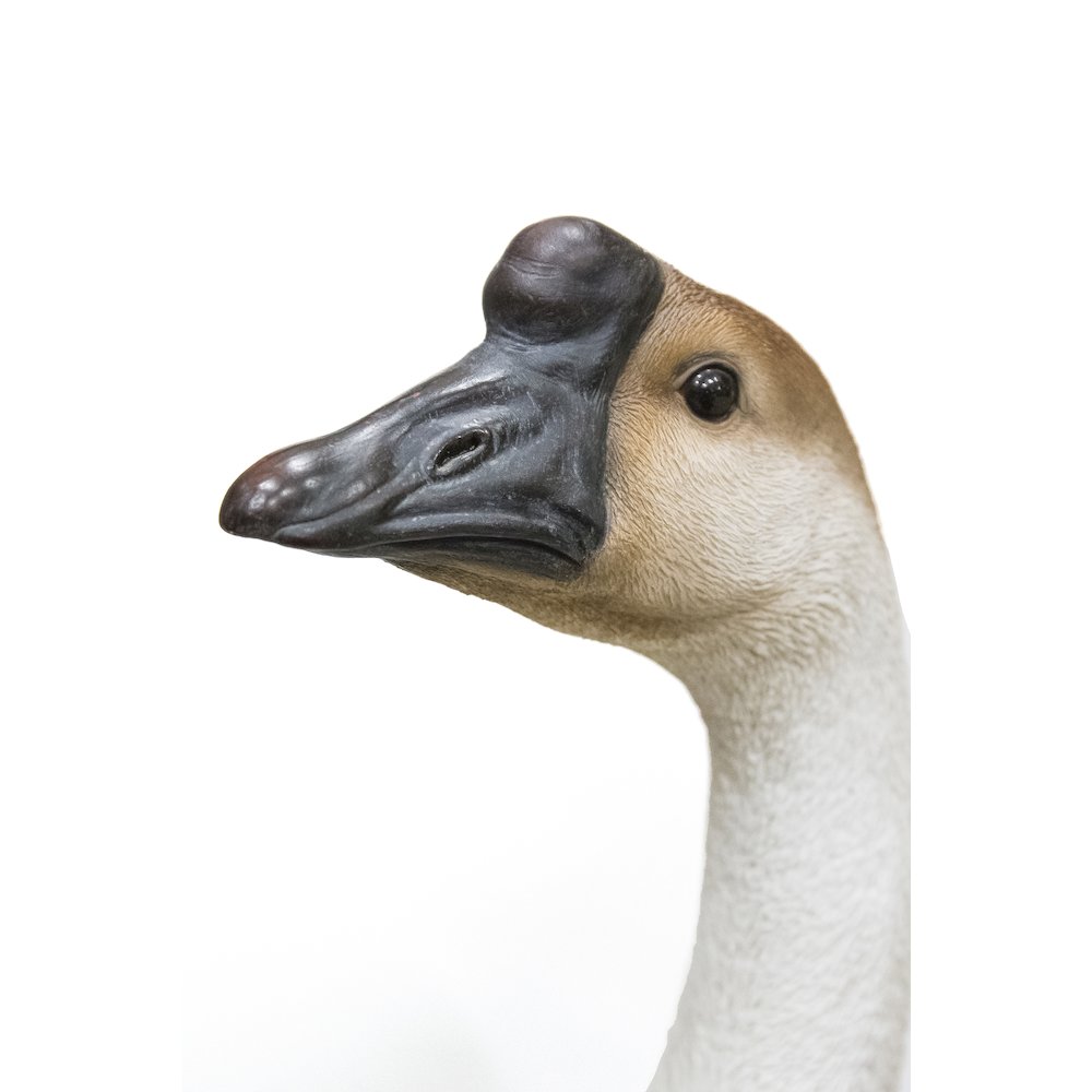 Goose