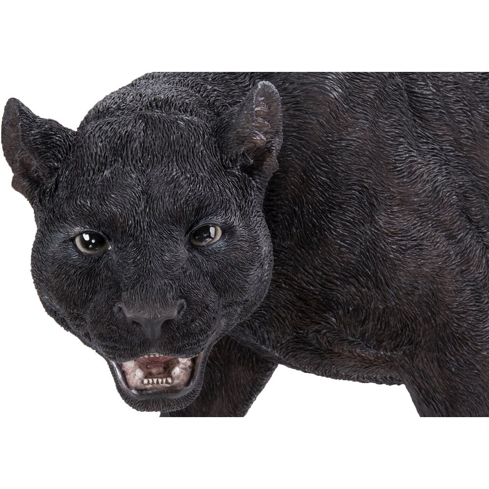 Black Panther Stalking