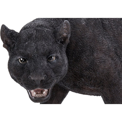Black Panther Stalking