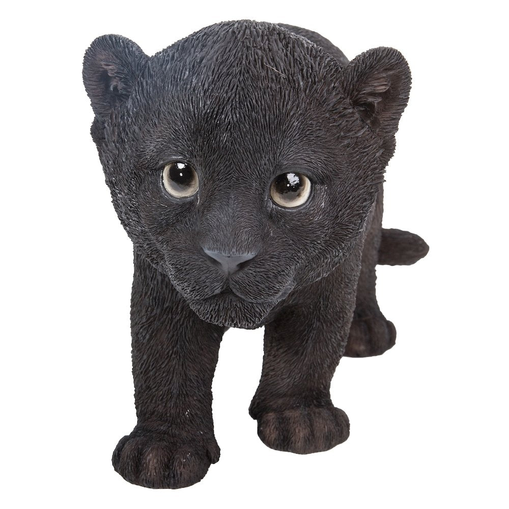 Black Panther Cub