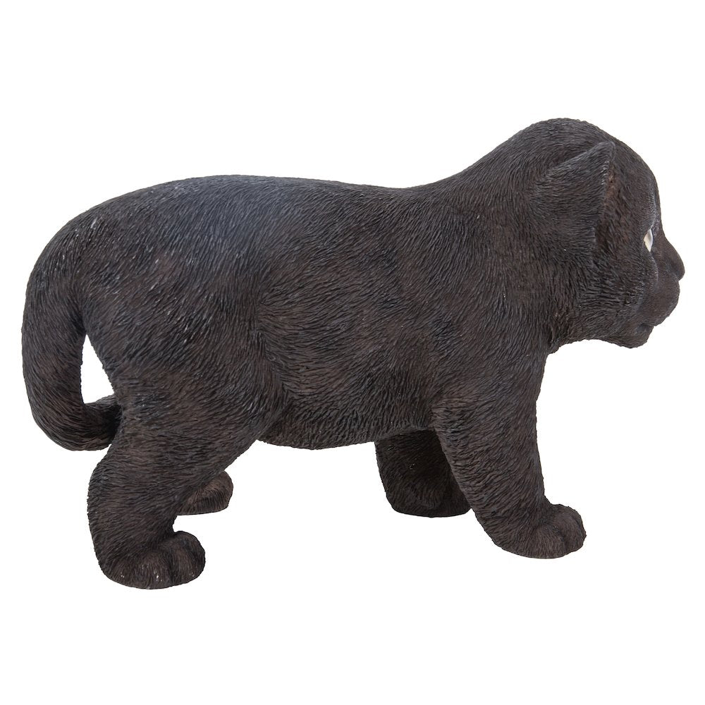 Black Panther Cub