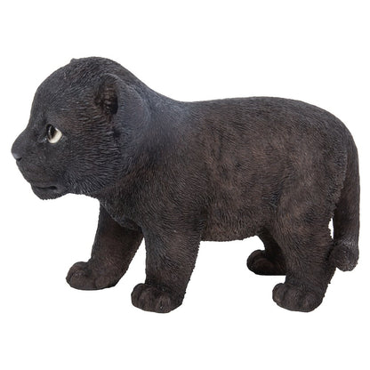 Black Panther Cub