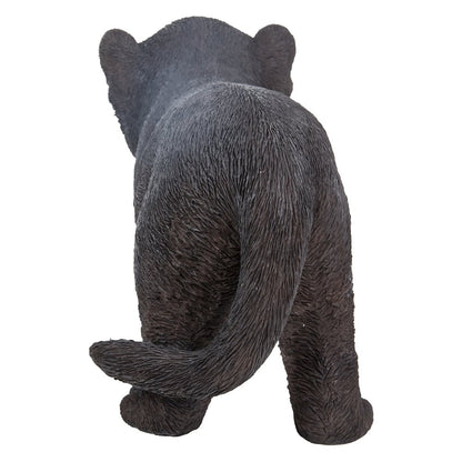 Black Panther Cub