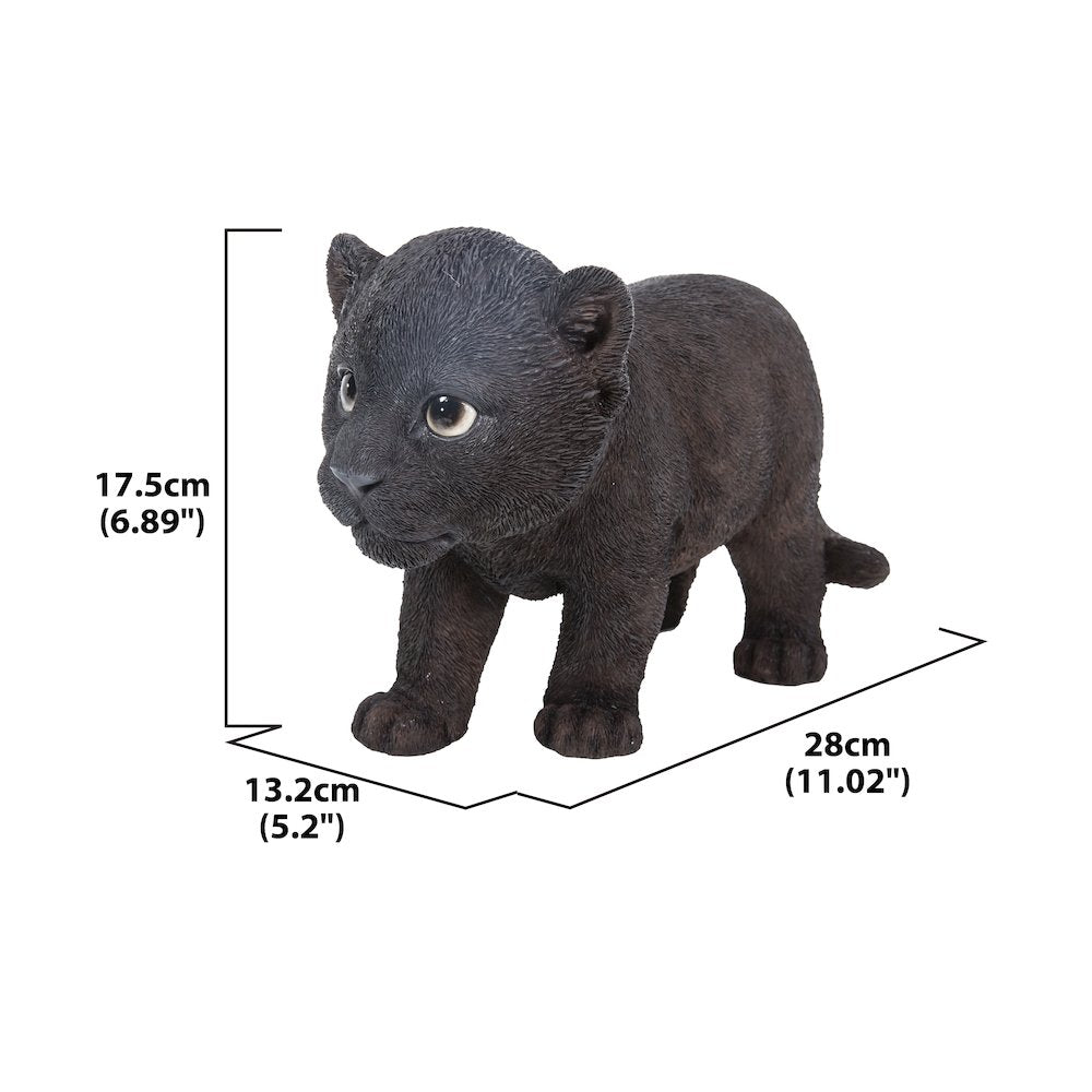 Black Panther Cub