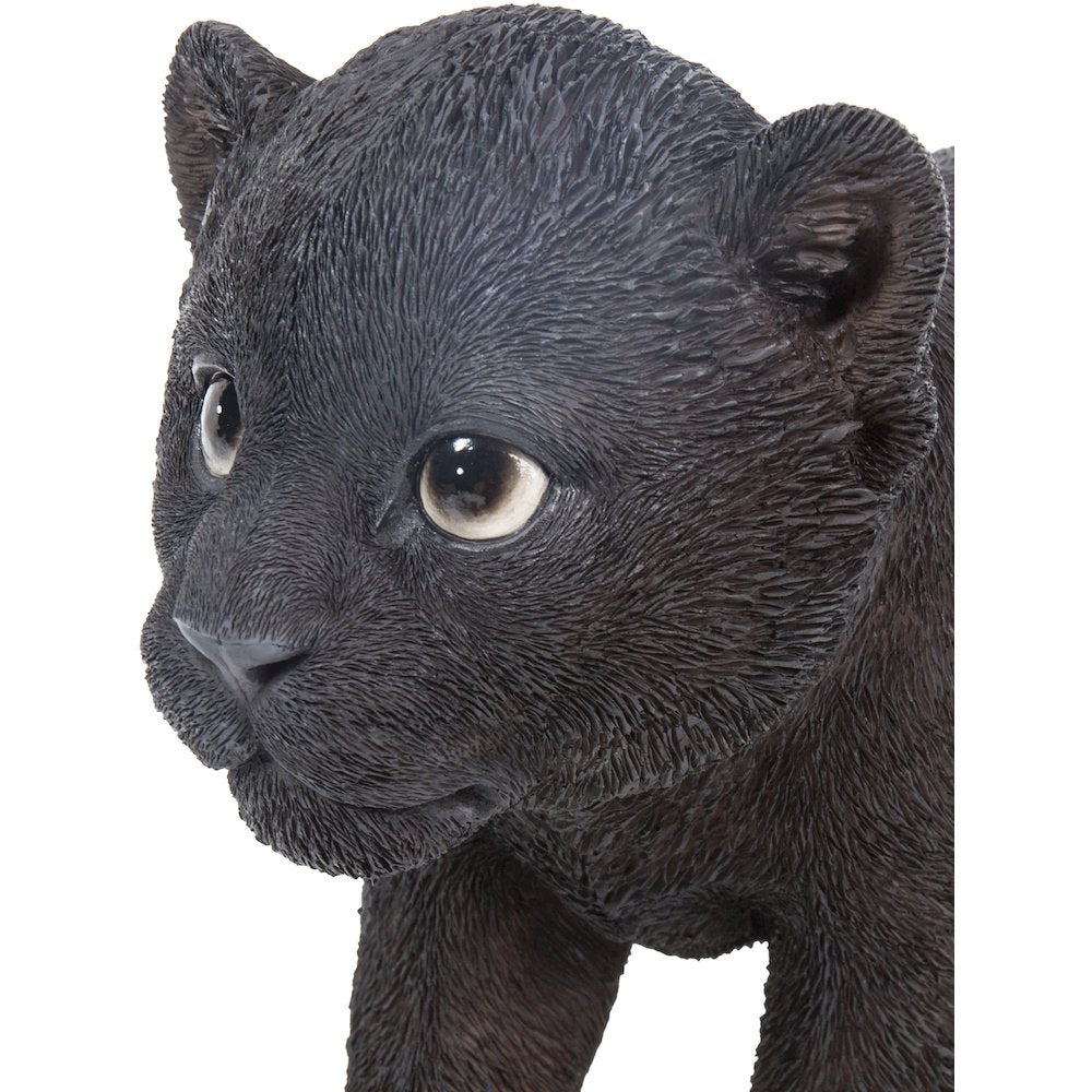 Black Panther Cub