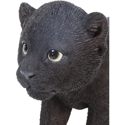 Black Panther Cub