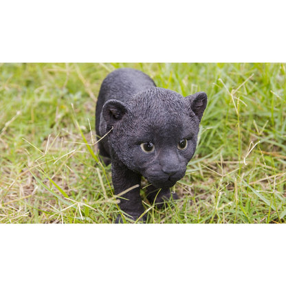Black Panther Cub