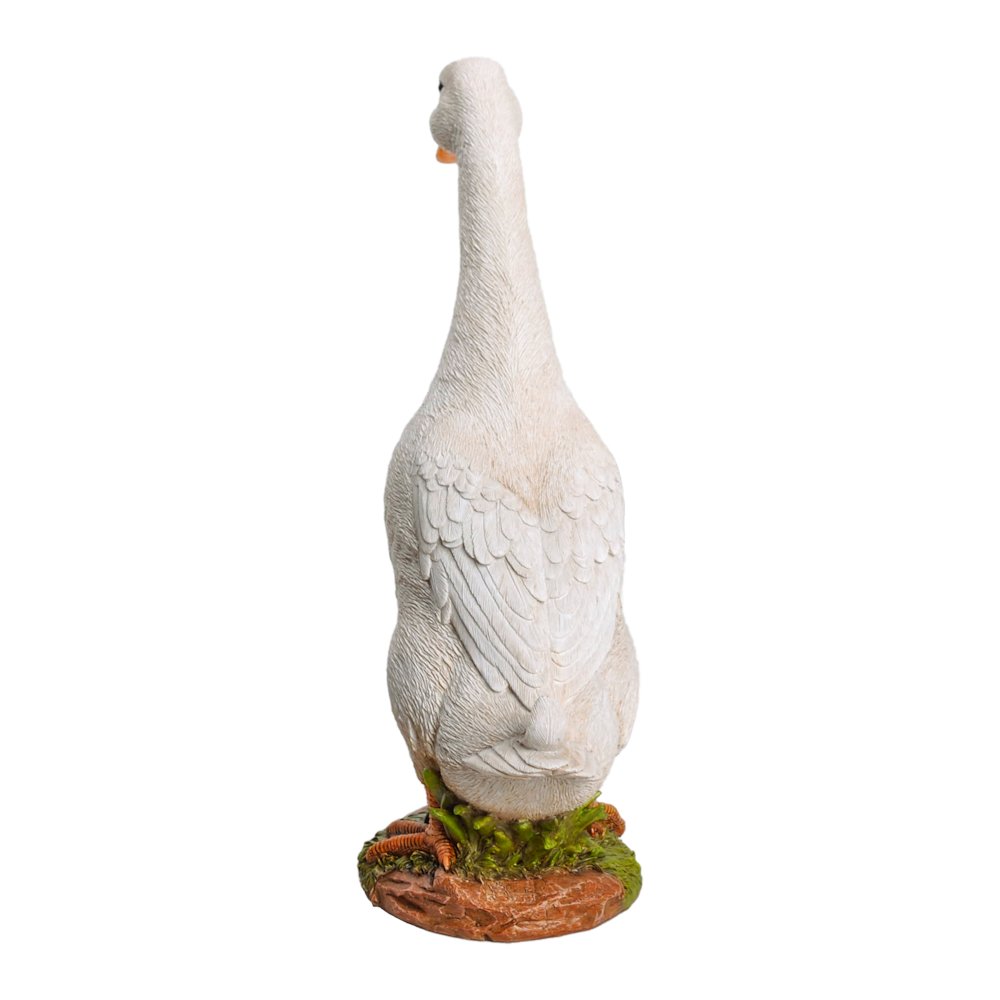 White Duck