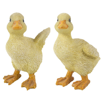Ducklings One with Wings Out & One with Wings Down
