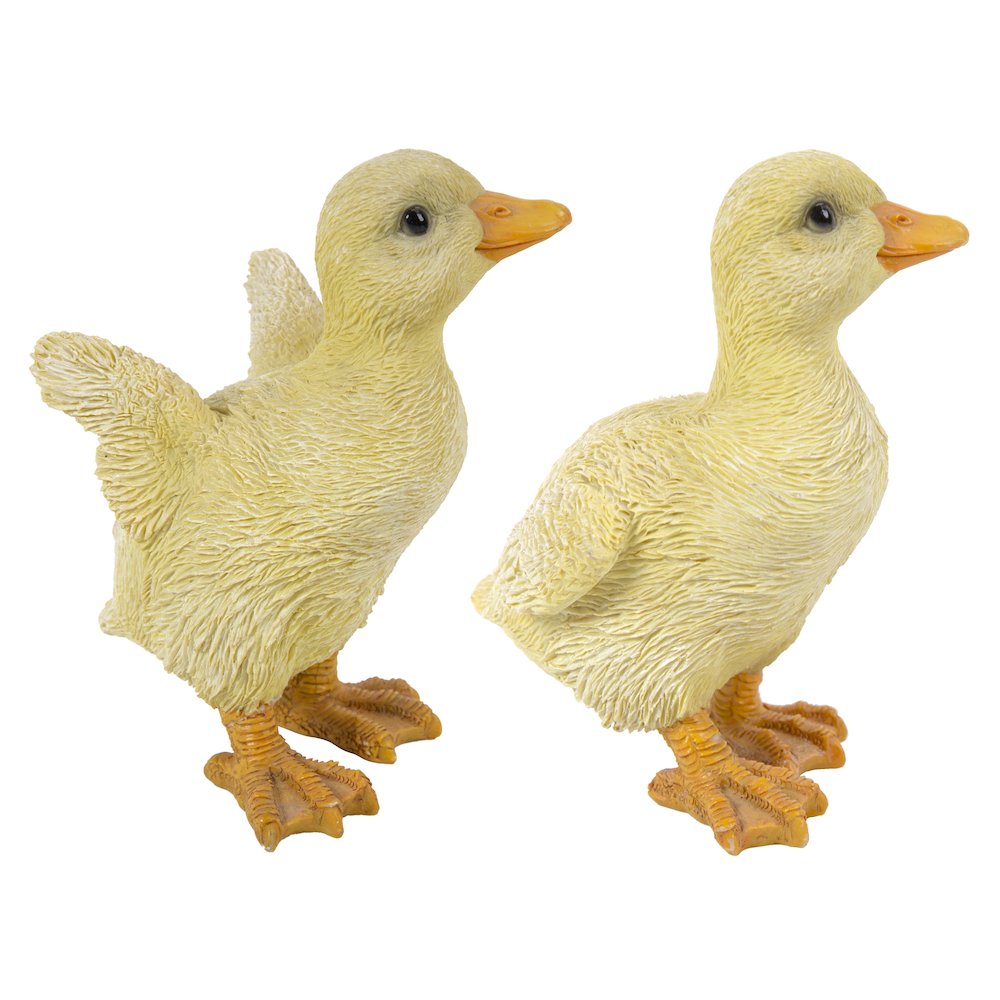 Ducklings One with Wings Out & One with Wings Down