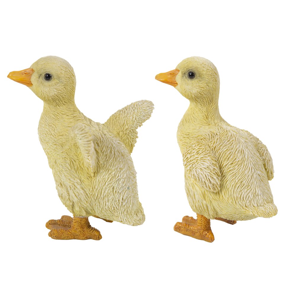 Ducklings One with Wings Out & One with Wings Down