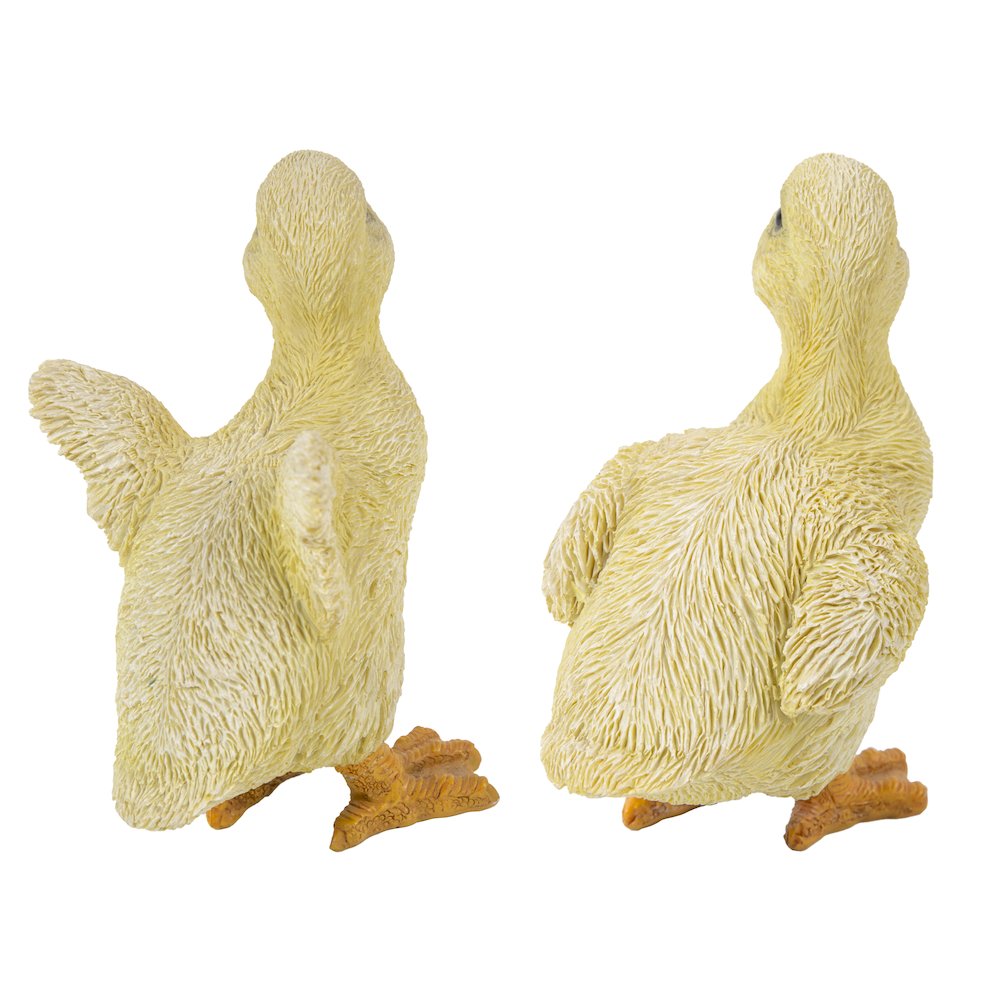 Ducklings One with Wings Out & One with Wings Down