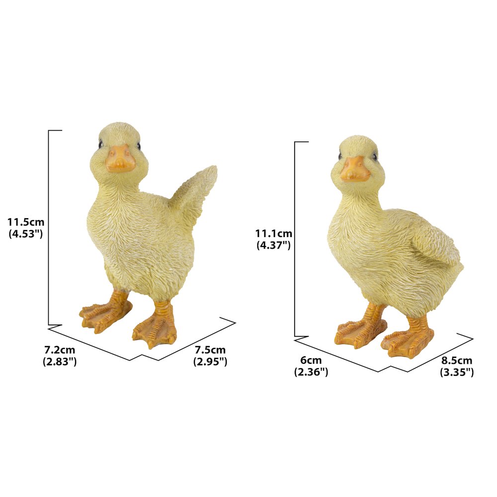Ducklings One with Wings Out & One with Wings Down