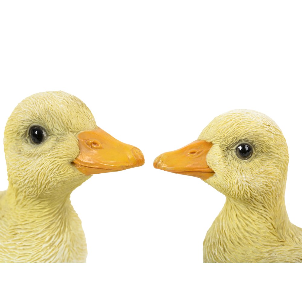 Ducklings One with Wings Out & One with Wings Down