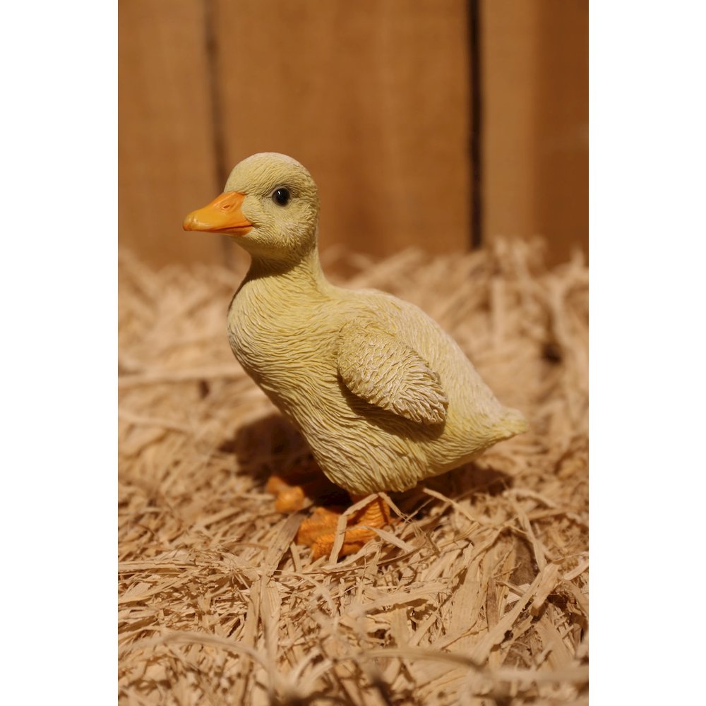 Ducklings One with Wings Out & One with Wings Down