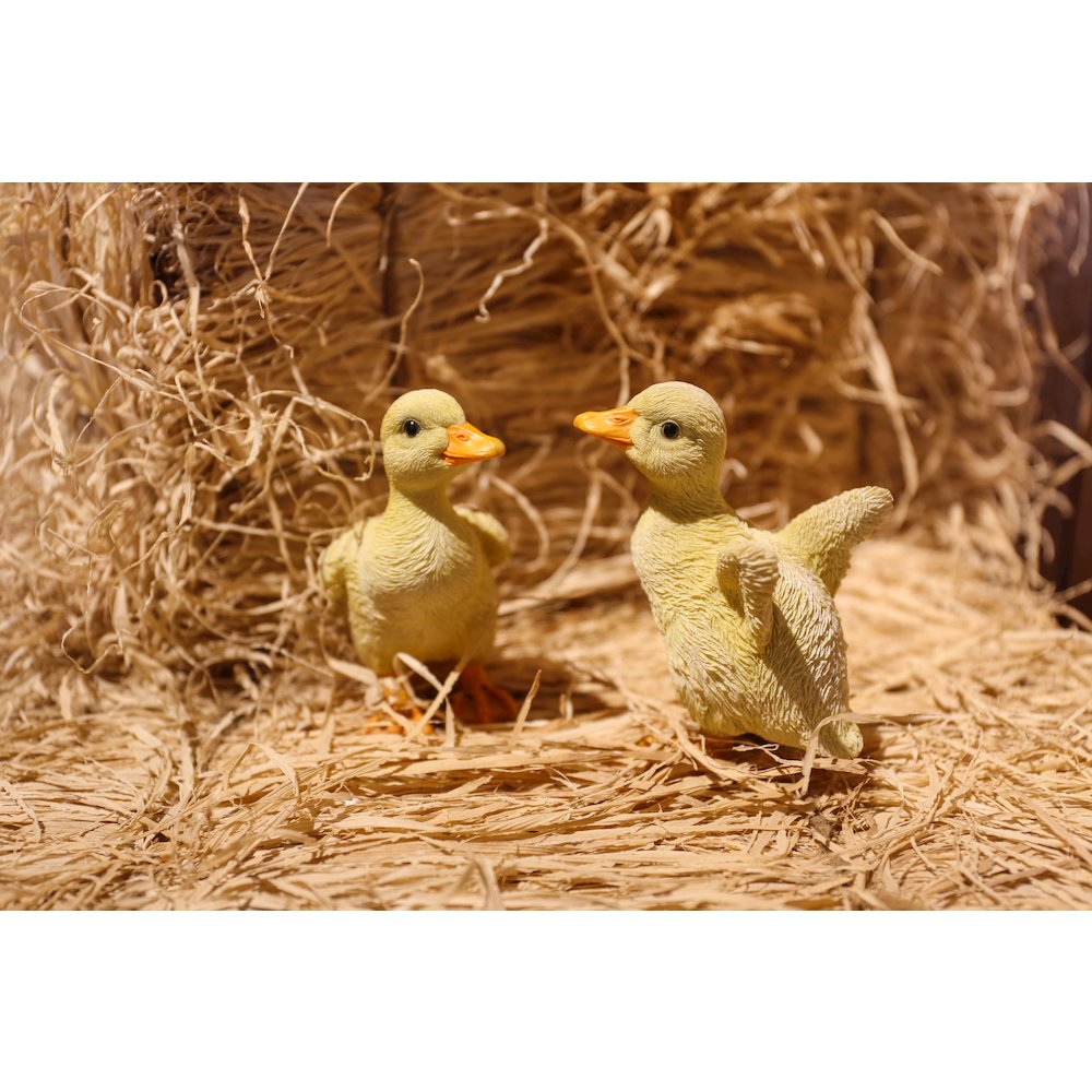 Ducklings One with Wings Out & One with Wings Down