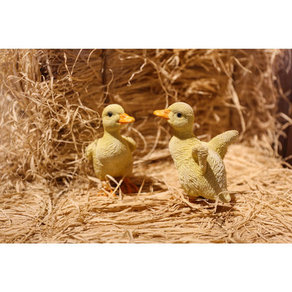 Ducklings One with Wings Out & One with Wings Down