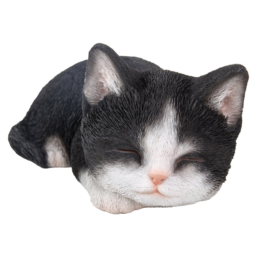 Black & White Kitten Sleeping