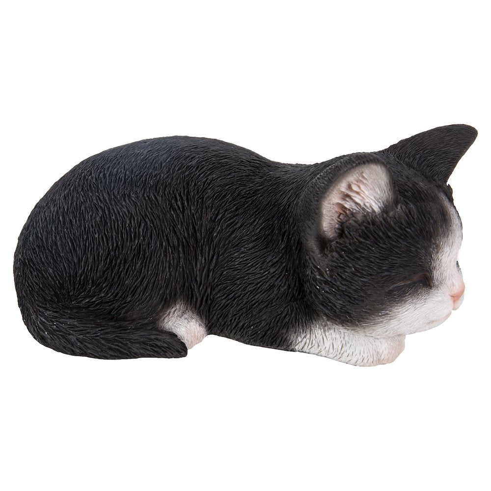 Black & White Kitten Sleeping