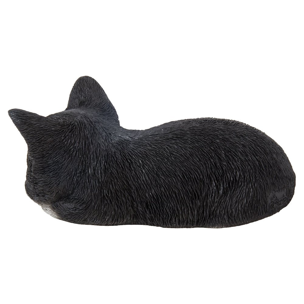 Black & White Kitten Sleeping
