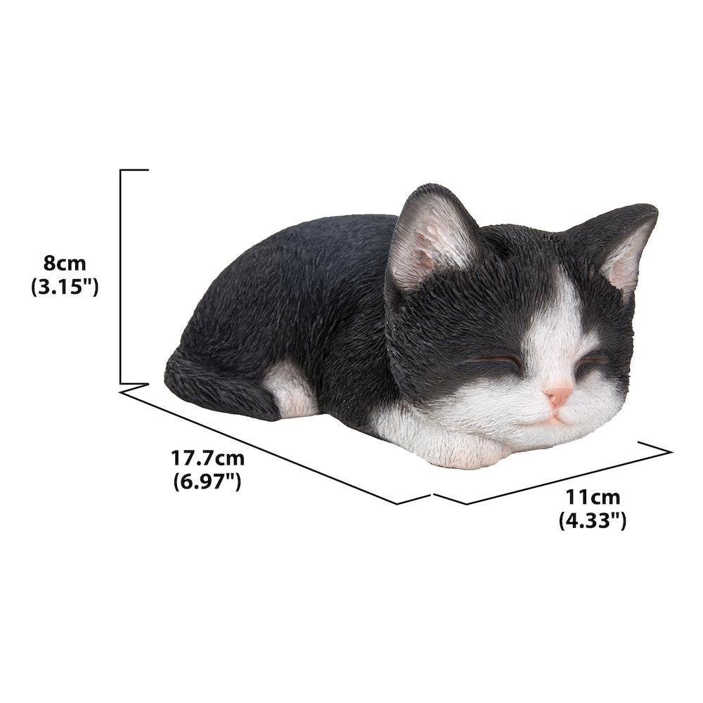 Black & White Kitten Sleeping