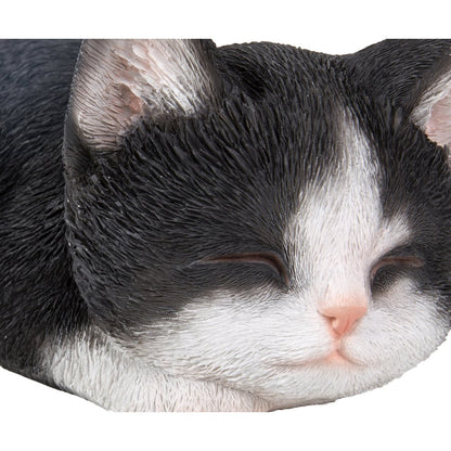 Black & White Kitten Sleeping