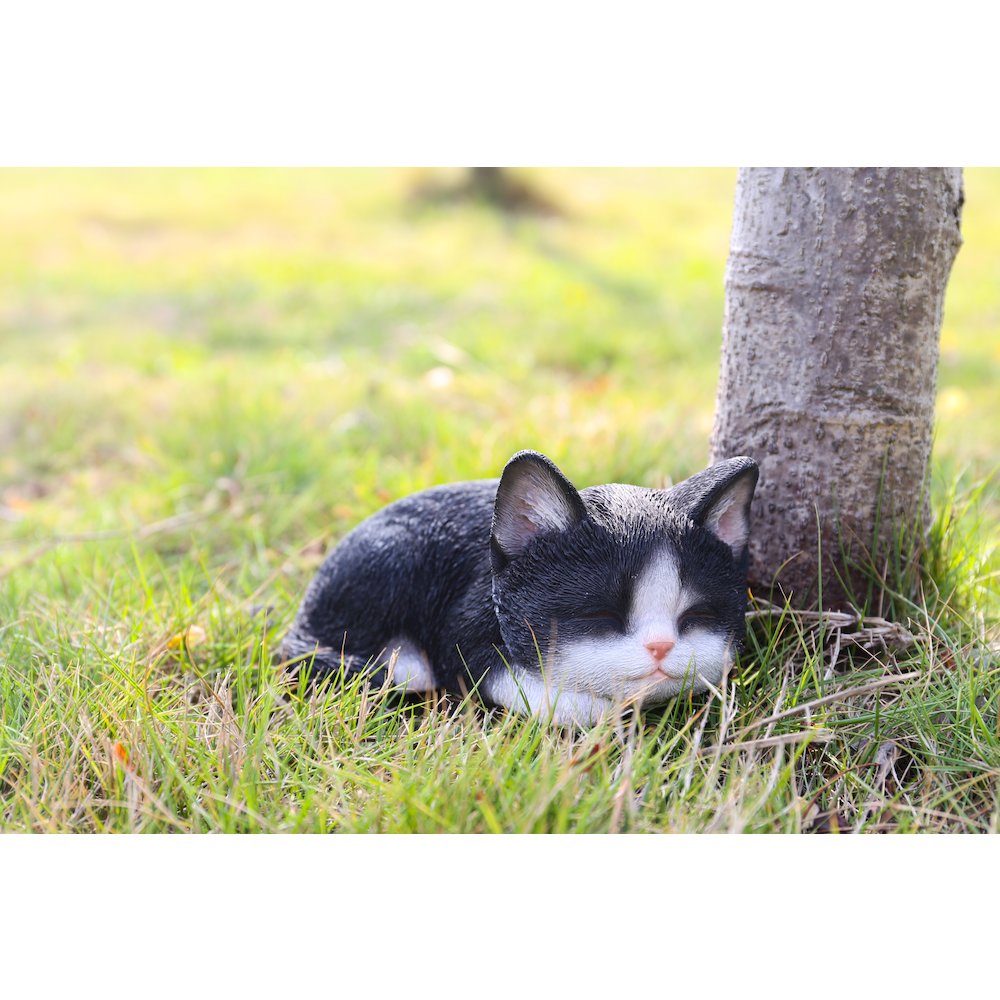 Black & White Kitten Sleeping