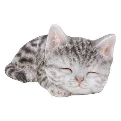Grey Tabby Kitten Sleeping
