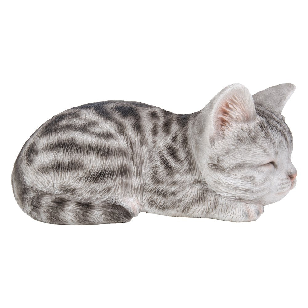 Grey Tabby Kitten Sleeping