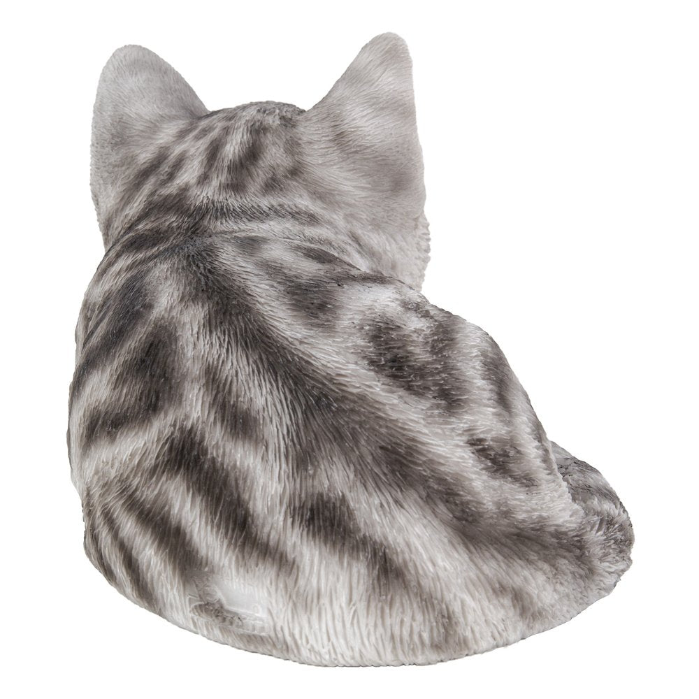 Grey Tabby Kitten Sleeping